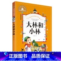 [正版]大林和小林 彩图注音版 世界文学名著宝库 6-12岁小学生一二三年级课外书儿童文学 小学生拼音版课外书 北日