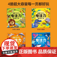宝宝专注力培养大书 全4册 3-6岁 海豚低幼馆 著 幼儿启蒙