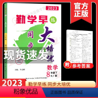 2023大培优.八下数学 初中通用 [正版]2024版 勤学早名校压轴题八年级上册数学专题复习初中初二8年级下册数学名校