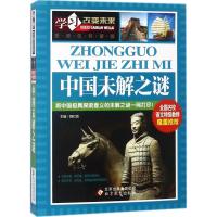 正版新书]学习改变未来?中国未解之谜魏红霞9787552251463
