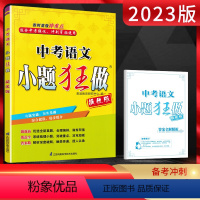 语文 全国通用 [正版]2023版小题狂做提优版中考语文 初三九年级辅导资料练习册中考强化冲刺专项专题突破训练 中考语文