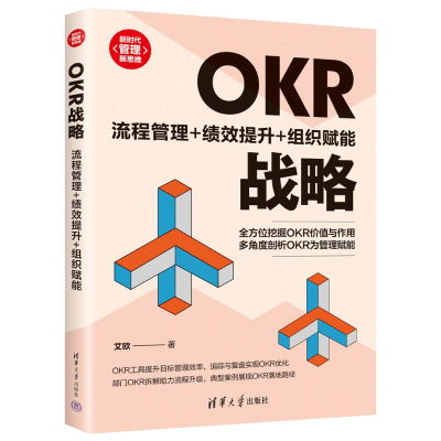 正版新书]OKR战略:流程管理+绩效提升+组织赋能艾欧97873026613
