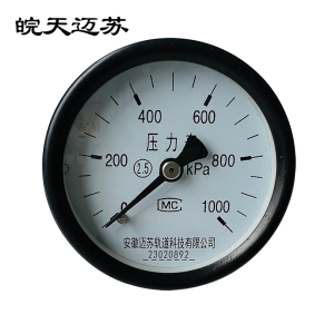 皖天迈苏 弹簧管压力表 Y-60Z 块