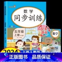 数学+语文+英语 五年级上 [正版]2024新版 五年级上册数学同步练习册人教版 小学5年级上学期数学同步训练口算题卡计