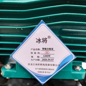 冰将 全自动220V增压泵智能自吸泵 单位:台