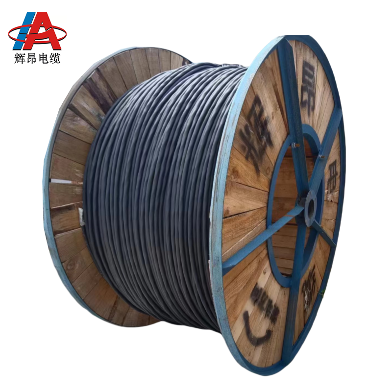 辉昂 护套软芯电缆 VVR 0.6/1kv -3*4+1*2.5平方 米