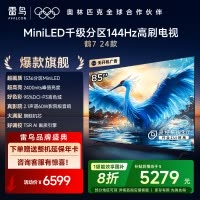 雷鸟 鹤7 24款 85英寸 MiniLED 家电国家补贴1536分区 144Hz高刷 一级能效智能电视机85R685C
