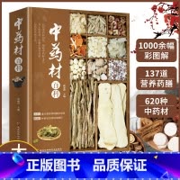 [中医入门]6册礼盒装 医宗金鉴 [正版]中药材百科店铺药材大全书620种道地性中草药材详解选材加工从植物到矿物零基础学