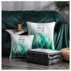 伊伊爱 B01900005 40*40cm棉麻水洗绒抱枕被 105*150cm (1)个