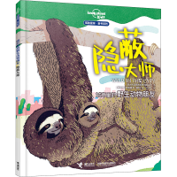 音像城市里的野生动物朋友 隐蔽大师澳大利亚孤独星球出版公司