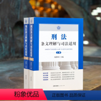[正版] 刑法条文理解与司法适用上下册刘静坤 刑法法律法规条文理解刑法办案实务用书刑法修正案11十一 刑事法律书籍全套
