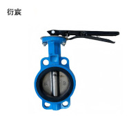衍宸 对夹式蝶阀 DN100 个