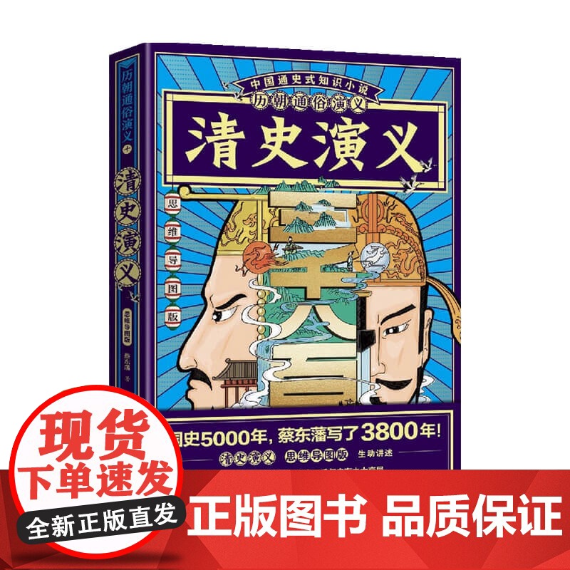 历朝通俗演义 清史演义10 思维导图版 蔡东藩 著 历史