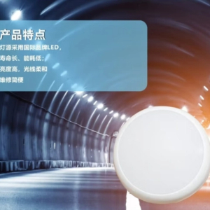 鄂远(EYUAN) EY111-36W LED低顶灯