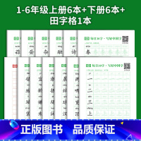 [全13本]1-6年级上下册6本+下册6本+1本田字格 [正版]每日30字小学生语文减压同步练字帖人教版一二三四五六年级