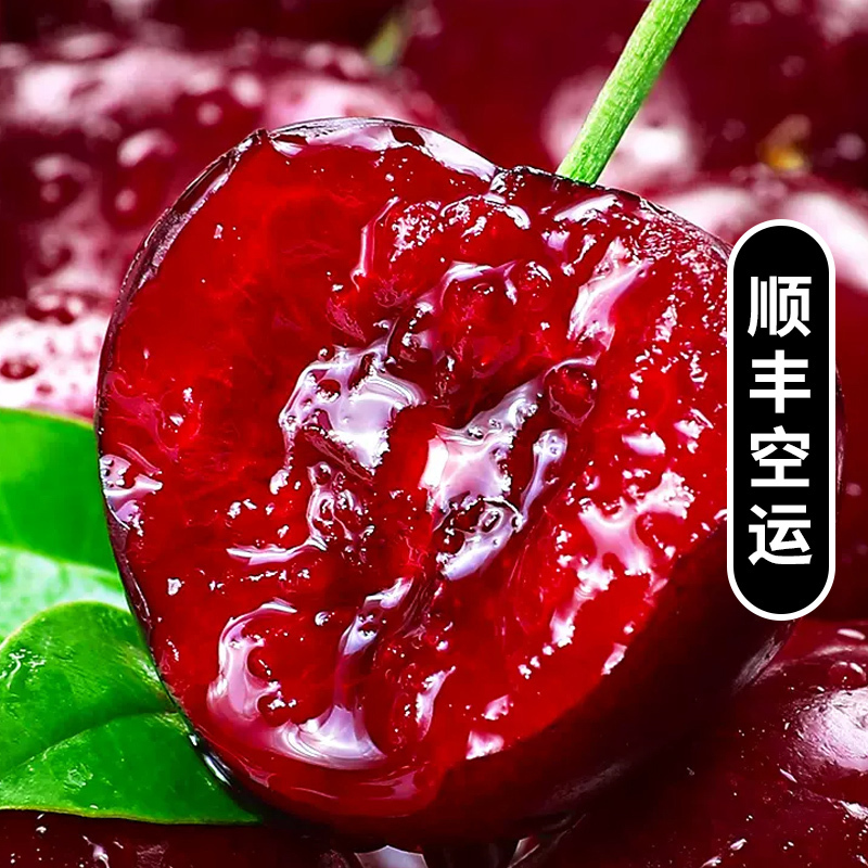 顺丰空运[西沛生鲜]新鲜美国车厘子 净重2斤 9.5R 新鲜水果 大樱桃 黑珍珠 酸甜可口