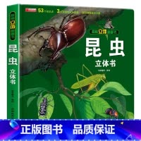 揭秘立体翻翻书[昆虫] [正版]抖音同款环游世界立体书 我们的中国儿童3d立体书揭秘翻翻书小学生一二年级地理百科全书籍幼