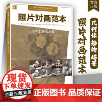 照片对画范本几何体静物场景 2025品博文化素描石膏几何体静物石膏像陶罐杂物照片写生素材美术高考联考教材教程书籍