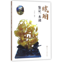 音像琥珀鉴定一本通编者:由伟