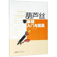 葫芦丝零基础入门与提高