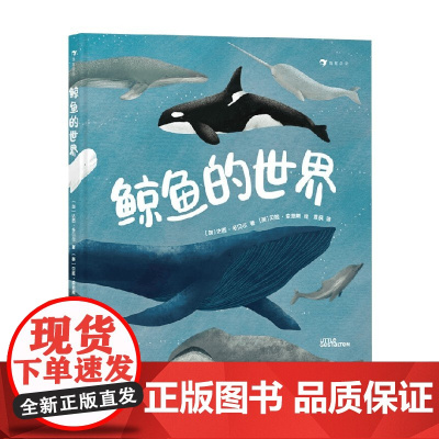 鲸鱼的世界 达西·多贝尔 著 一本关于鲸鱼的高颜值科普图册 带领小读者探索鲸鱼的秘密 科普百科