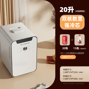 [补贴10%]迷你小冰箱小型学生宿舍家用化妆品母乳单人车载冰箱冷藏冷冻胰岛素冷藏