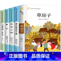[全5册]五年级阅读课外书 [正版]草房子原著完整版五六年级必读适合四年级阅读的课外书上册下册曹文轩书籍系列儿童文学青铜
