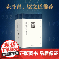 重读20世纪中国小说 许子东 著 许子东小说课的镇箱之作 一张供我们探索20世纪文学的地图 许子东现代文学课 理想国图书
