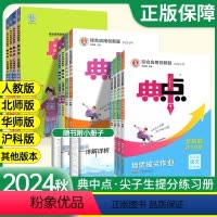 5本:[人教版]语数英物化 九年级上 [正版]2024典中点人教版数学北师大版七年级上册八九年级下册初中语文英语物理化学