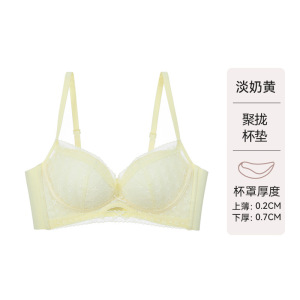 品牌同款夏季薄款蕾丝内衣女性感纯欲风小胸聚拢透气收副乳文胸罩