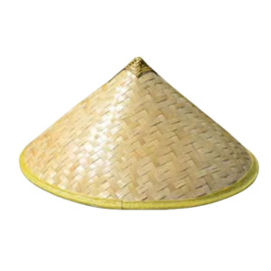 众城应鑫 斗笠 53cm 个