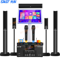 先科(SAST)A18家庭影院套装2 5.1家庭影院音响套装家用电视客厅壁挂落地音箱 (点歌机套装落地2T))