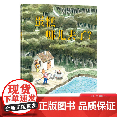 蛋糕哪儿去了硬壳精装无字书图画书蒲蒲兰绘本抛开文字用眼睛去观察线索适合2岁3岁4岁5岁6岁亲子阅读正版童书
