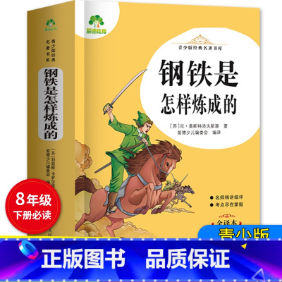 钢铁是怎样炼成的 488页 [正版]爱德教育青少版经典名著书库 钢铁是怎样练成的 全译本初中生青少版课外书八年级下册精讲