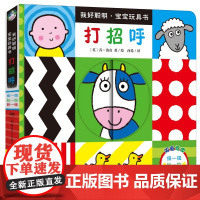 0-1岁 我好聪明 宝宝玩具书打招呼 单本 0-1岁脑力开发,翻翻、转转、拉拉、触摸湖南少年儿童出版社