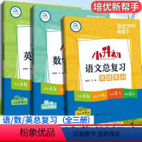 3本[语文+数学+英语]总复习 小学升初中 [正版]2024小升初语文数学英语总复习真题集训考前冲刺卷培优新帮手六6年级