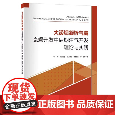 大涝坝凝析气藏衰竭开发中后期注气开发理论与实践 本书能够作为油气开发方向的通用参考书籍 中国石化出版社