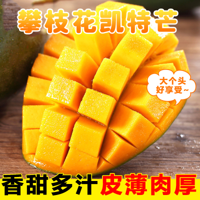 [熊猫鸟]精选攀枝花凯特芒 5斤 中果 单果250g以上 当季新鲜 热带水果