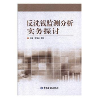 音像反洗钱检测分析实务探讨罗玉冰