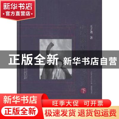 正版 中国彝诗文化理论研究 王子尧著 贵州大学出版社 9787811267