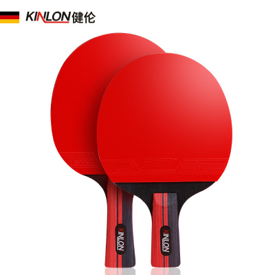 健伦（JEEANLEAN）乒乓球拍乒乓球拍套家用训练健身比赛乒乓球桌标准乒乓球拍（双反胶）三星套装尊享版