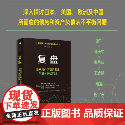复盘 逃离资产负债表衰退与量化宽松陷阱 辜朝明著 日本美国欧洲中国债务资产负债表不平衡问题 经济