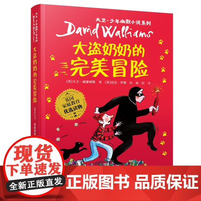 正版童书 《大盗奶奶的完美冒险》(2023年百班千人暑期书单 三年级阅读)
