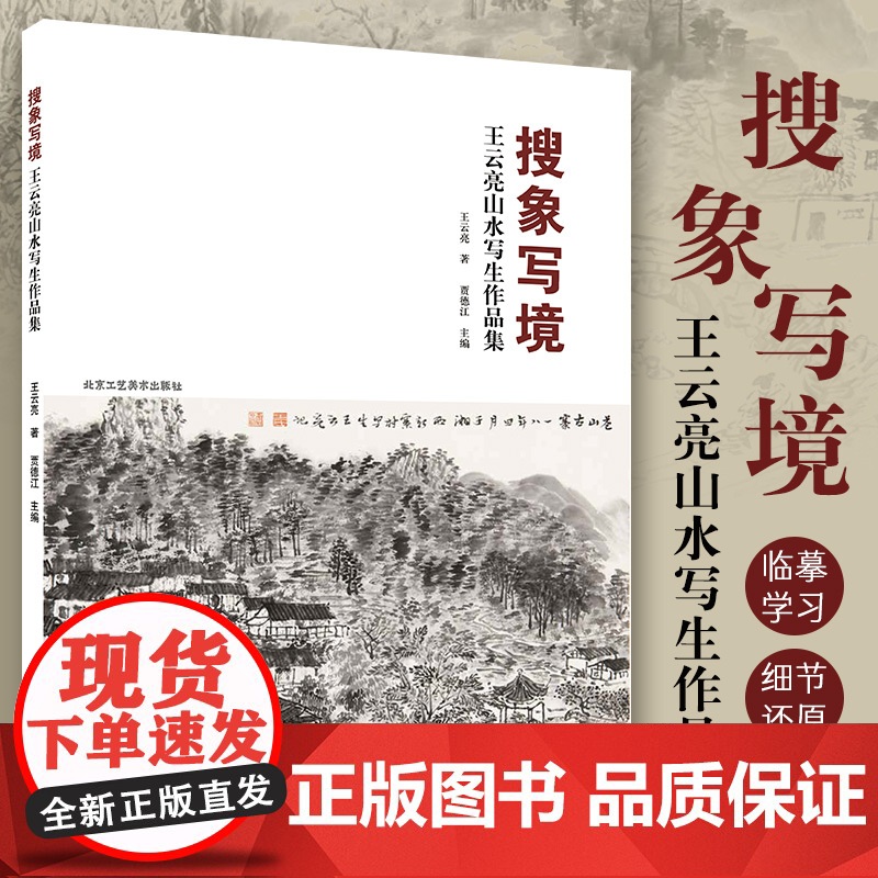 搜象写境·王云亮山水写生作品集 中国书画名家全集写意花鸟画全集写意国画精品集山水花鸟水墨书法