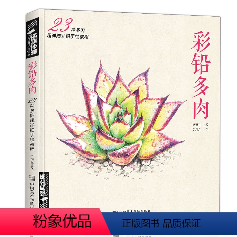 [正版] 彩铅多肉植物手绘画入门临摹教程书籍彩色铅笔自学花之绘本技法飞乐零基础初学者鸟成人一本就够了 杨建飞主编