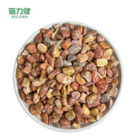 喜力健 黄色砾石 0.6CM*0.9CM 袋