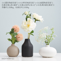 北欧ins白色陶瓷花瓶摆件 客厅创意插花鲜花小瓷瓶餐桌干花装饰品 三维工匠 组合8