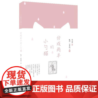 分成两半的小勺猫