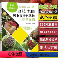 [正版]书荔枝龙眼栽培种植技术大全书籍 荔枝龙眼树果树常见疾病诊断病虫害防治技术 农业种植技术书籍