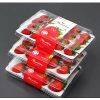 顺丰快递[苏鲜生]彩箱装 四川正宗大凉山草莓 大果 单果25g左右 净重2.4斤 (300g*4) 新鲜水果